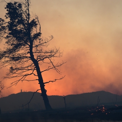 Πολύ υψηλός κίνδυνος πυρκαγιάς την Κυριακή σε Αττική και άλλες 10 Περιφέρειες της χώρας