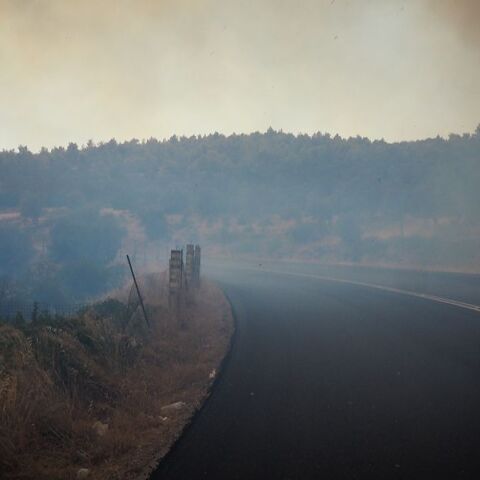 Εύβοια: Κάηκαν χιλιάδες ζώα - Ολοκληρωτική καταστροφή σε κτηνοτροφικές μονάδες και στάβλους