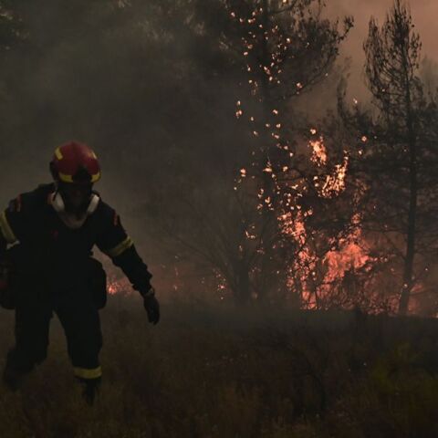 Εκτός ελέγχου η φωτιά στα Κύθηρα: «Κάηκε το μισό νησί, κινδυνεύουν άνθρωποι» - Κατέρρευσε ο δήμαρχος