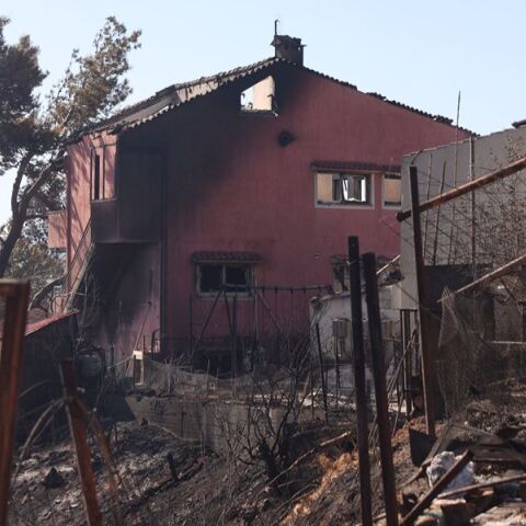 Μαύρο τοπίο στο Κρυονέρι: Η επόμενη μέρα της πυρκαγιάς - Μεγάλες καταστροφές, αποκαρδιωτικές εικόνες