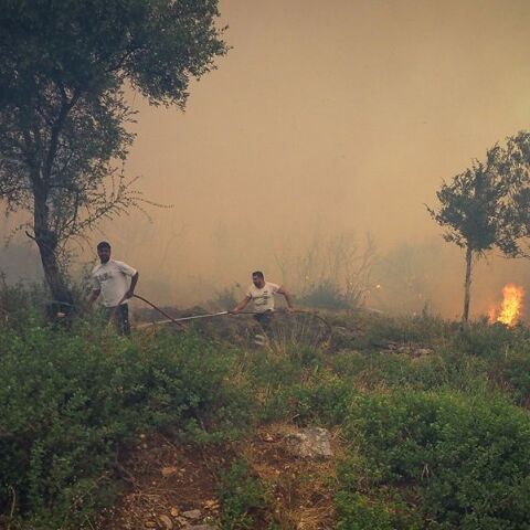 Σε Εύβοια και Κύθηρα τα δυσκολότερα μέτωπα της φωτιάς - Ισχυρές δυνάμεις σε Μεσσηνία και Χανιά
