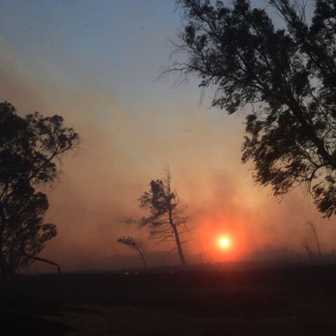 Σε εξέλιξη οι φωτιές σε Εύβοια, Μεσσηνία, Κύθηρα, Κρήτη - Μικρές διάσπαρτες εστίες στο Κρυονέρι