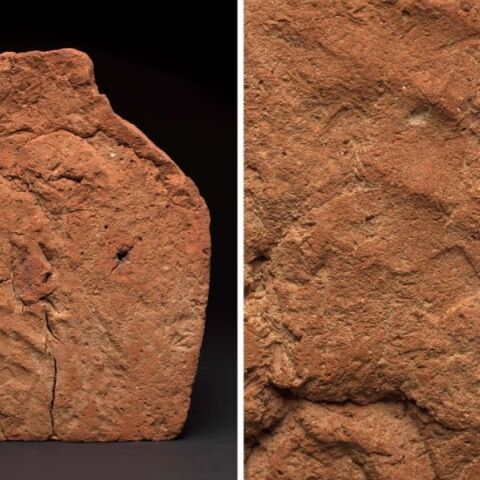 Σπάνιο αποτύπωμα χεριού 4.000 ετών εντοπίστηκε σε αρχαίο πήλινο αντικείμενο από την Αίγυπτο - Τι αναφέρουν επιμελητές του Πανεπιστημίου Κέιμπριτζ.