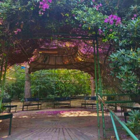 Βόλτα στο Άλσος Παγκρατίου: Μια ανάσα πρασίνου στο κέντρο της πόλης