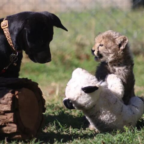 athensvoice_-_2025-07-31t170135_079