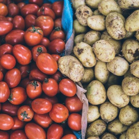 Πώς οι ντομάτες έφεραν στον κόσμο τις πατάτες - Νέα αποκάλυψη φέρνει διεθνής μελέτη