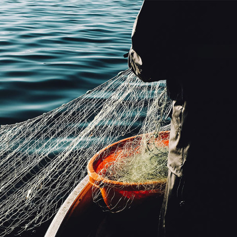 Social Media: Στον βυθό του story