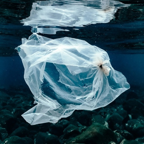Πλαστική σακούλα στη θάλασσα