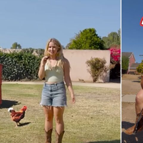 Viral βίντεο με ψεύτικα ζώα και αντικείμενα φτιαγμένα με τεχνητή νοημοσύνη αφήνει τους θεατές αποσβολωμένους, αμφισβητώντας την ίδια τους την αντίληψη.