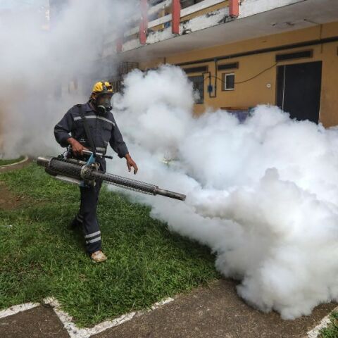 Περισσότερα από 7.000 κρούσματα του ιού τσικουνγκούνια στην Κίνα από τον Ιούλιο προκαλούν πανικό και επαναφορά μέτρων τύπου πανδημίας.
