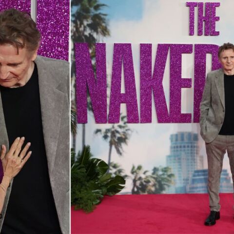 Τρελές Σφαίρες: Ο Ντέιβιντ Ζάκερ εύχεται καλή επιτυχία στο reboot με τον Λίαμ Νίσον και την Πάμελα Άντερσον, αλλά ξεκαθαρίζει ότι δεν σκοπεύει να το δει