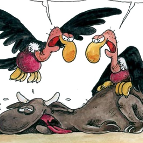 Αρκάς: Η «Καλημέρα» με τα ...αρπακτικά 