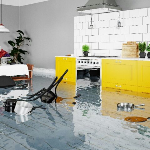 Παμπόνηρος ιδιοκτήτης AirBnb προσπάθησε να διεκδικήσει αποζημίωση, αλλά η επισκέπτρια είχε την τελευταία κουβέντα