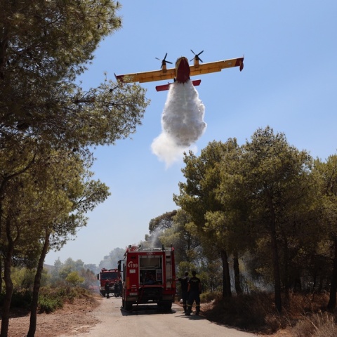 Πυροσβεστικό όχημα και πυροσβεστικό αεροσκάφος στον Κουβαρά Αττικής