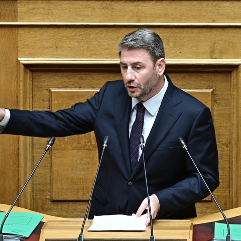 Νίκος Ανδρουλάκης