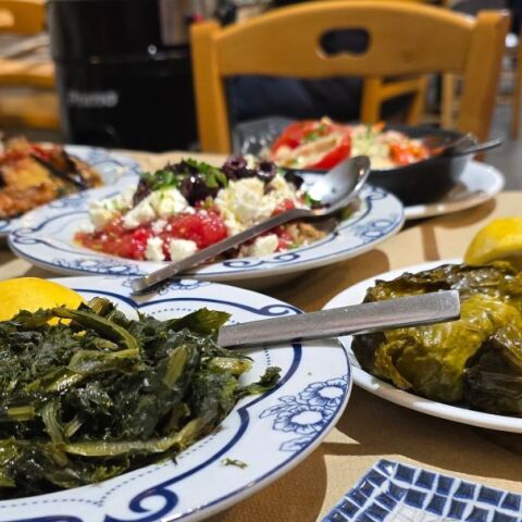 Ευγενία, Σύνταγμα