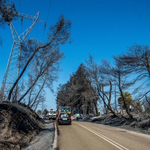Φωτιά στην Ηλεία: Κάηκαν 7.950 στρέμματα - Δείτε τη δορυφορική εικόνα 