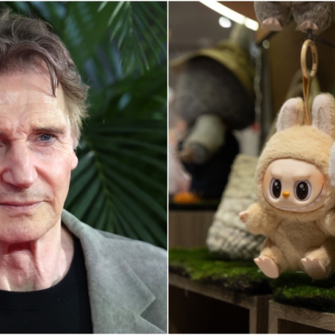 Ο Λίαμ Νίσον δεν γνωρίζει τα Labubu και η απροσδόκητη απάντησή του έγινε viral