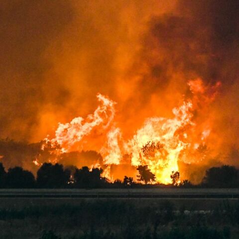 athensvoice_-_2025-08-12t225045_046