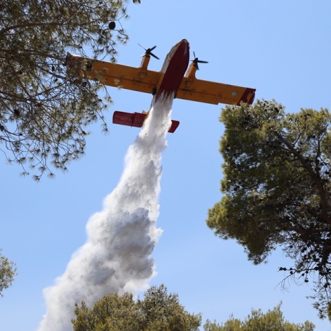 Φωτιά τώρα στην Πρέβεζα - Ήχησε το 112