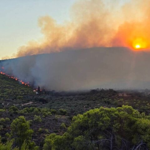 Φωτιά στη Ζάκυνθο