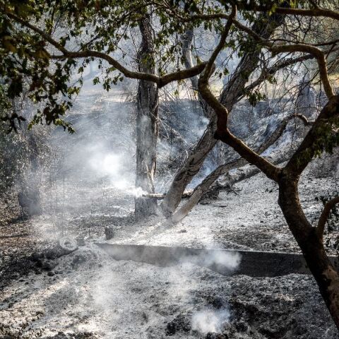 ΔΕΔΔΗΕ: Ποιες περιοχές παραμένουν χωρίς ρεύμα - Πού έχει αποκατασταθεί η ηλεκτροδότηση 