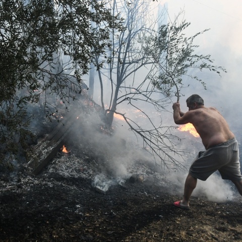 Άτομο επιχειρεί με κλαδί για την κατάσβεση φωτιάς