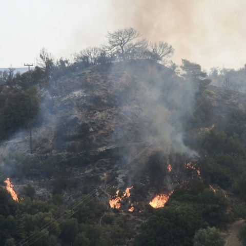 Φωτιά στην Αχαΐα