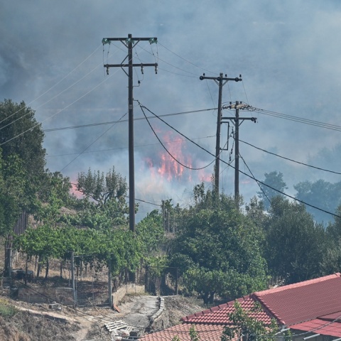 Φωτιά στην Πρέβεζα:  Σε κατάσταση έκτακτης ανάγκης ο δήμος Ζηρού – Δύσκολη η κατάσταση στη Φιλιππιάδα