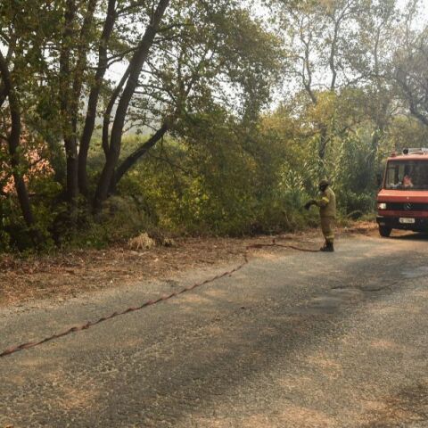 Κερατέα: Πυροσβεστικό όχημα συγκρούστηκε με ΙΧ - Νεκρή μια 61χρονη	
