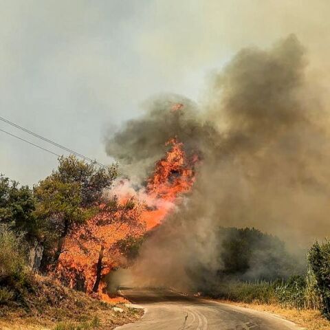 Αναζωπυρώθηκε η  φωτιά στη Ζάκυνθο - Μεταξύ Κοιλιωμένου προς Έξω Χώρα το πύρινο μέτωπο
