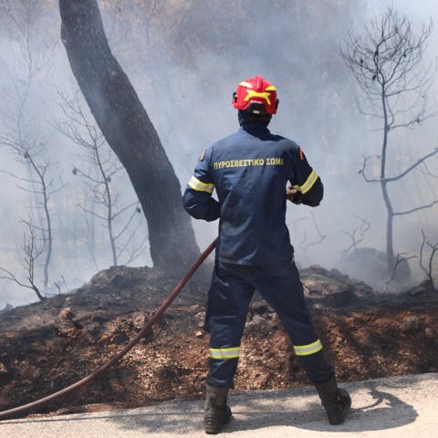 Πυροσβέστης με τη μάνικα ανά χείρας επιχειρεί για την κατάσβεσης φωτιάς