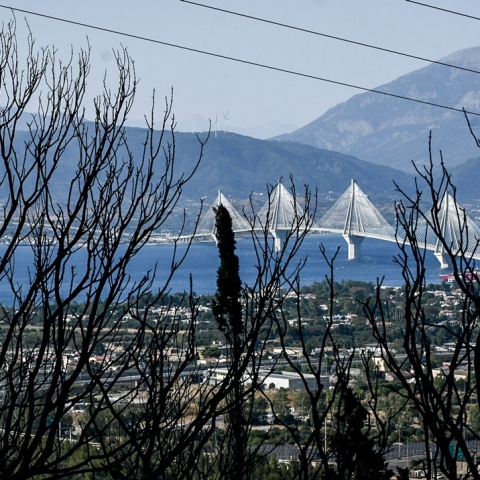 Καμένες εκτάσεις στην Αχαΐα
