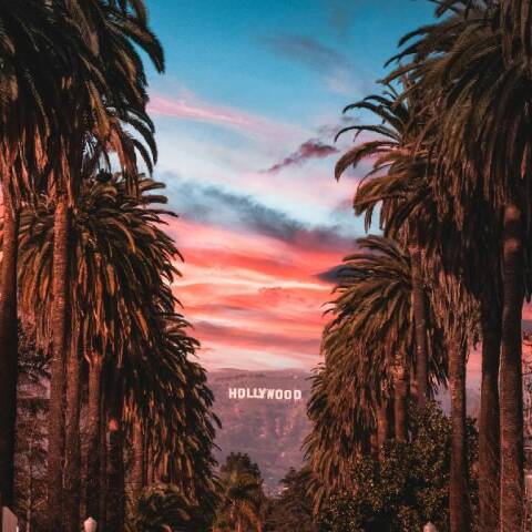 Τα καλιφορνέζικα φοινικόδεντρα σε κίνδυνο