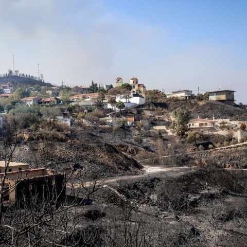 Καμένες εκτάσεις στη Χίο