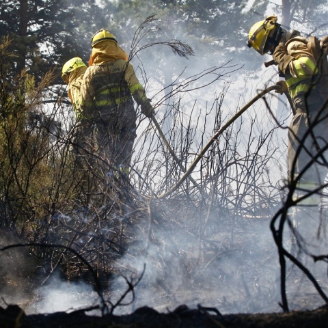 Πυροσβέστες επιχειρούν για την κατάσβεση φωτιας στην Ισπανία