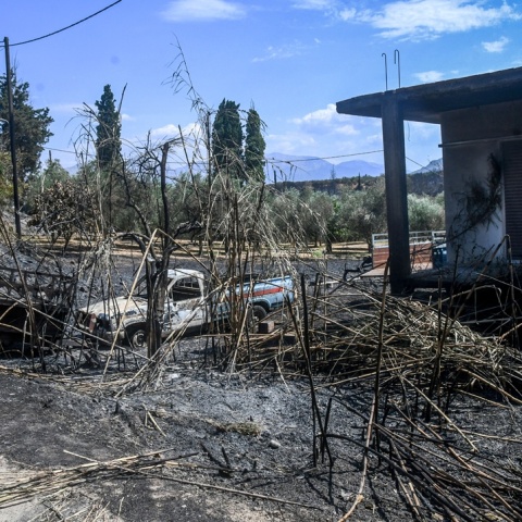 Καμένες εκτάσεις στην Πάτρα