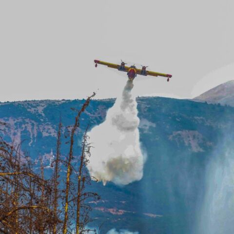 Υπάρχει άλλη πολιτική για τον έλεγχο των πυρκαγιών;