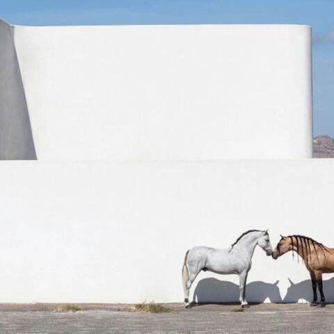 Ο φωτογράφος Γιώργος Κορδάκης και η αβίαστη ματιά στην ομορφιά