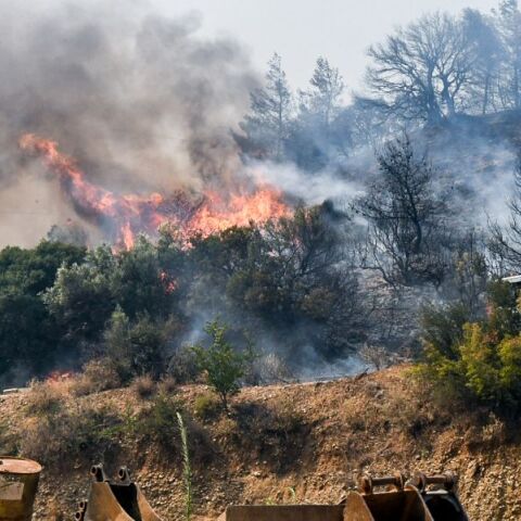 Οκτώ αλήθειες και μύθοι για τις φωτιές