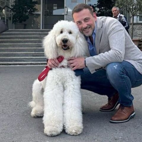 Παρέα με Ουρά: Σκύλοι θεραπείας βρίσκονται δίπλα σε ογκολογικούς ασθενείς στο Νοσοκομείο Μεταξά