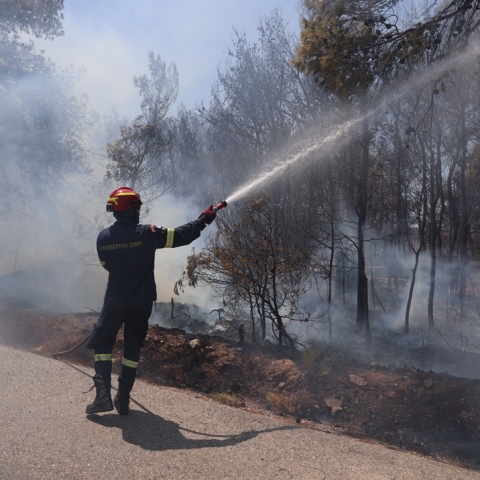 Πυροσβέστης επιχειρεί για την κατάσβεση φωτιάς