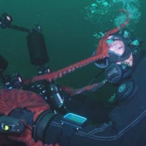 Γιγάντιο χταπόδι στον Καναδά άρπαξε κάμερα από δύτες και κατέγραψε εντυπωσιακά πλάνα, πριν επιστρέψει «χαμογελαστό» το θήραμά του