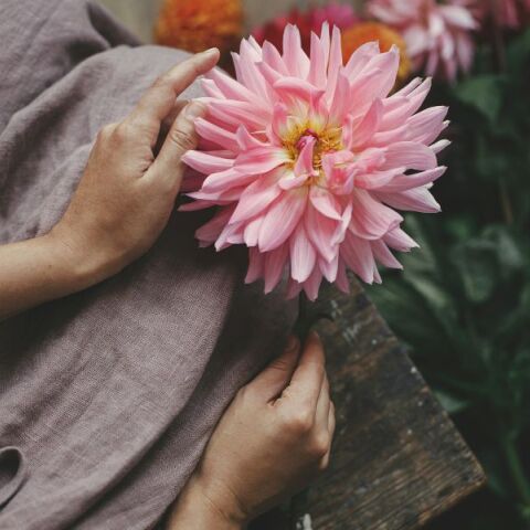 Ποιοι γιορτάζουν σήμερα 24 Αυγούστου 2025; Το εορτολόγιο της Athens Voice σου τους θυμίζει. Μην ξεχάσεις να τους δώσεις τις καλύτερες ευχές σου!