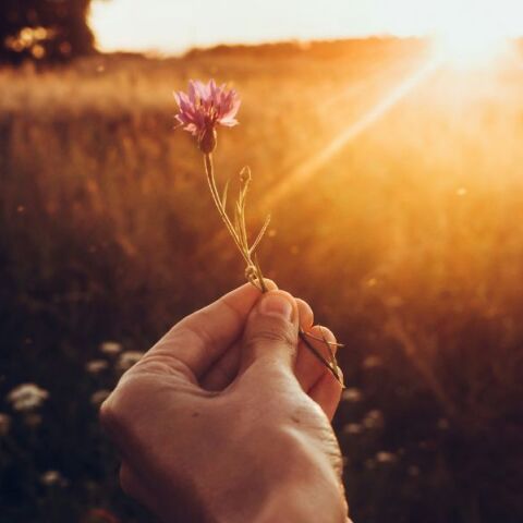 Ποιοι γιορτάζουν σήμερα 25 Αυγούστου 2025; Το εορτολόγιο της Athens Voice σου τους θυμίζει. Μην ξεχάσεις να τους δώσεις τις καλύτερες ευχές σου!