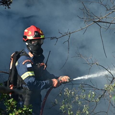 Φωτιά στον Χορτιάτη Θεσσαλονίκης: Οριοθετήθηκε έγκαιρα - Η πυρκαγιά ξεκίνησε από μελίσσια σε δασική έκταση - Δεν κινδύνευσαν κατοικημένες περιοχές