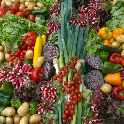 Πρέπει να είναι μέρος της διατροφής των αθλητών οι φυτικές ίνες;