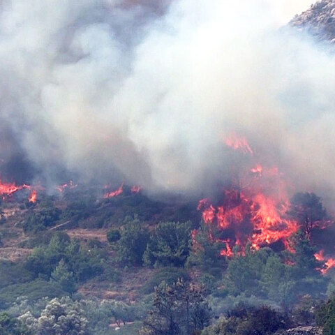 2016, Ανεξέλεγκτη και ενισχυόμενη διαρκώς από τους ανέμους μαίνεται η πυρκαγιά που εκδηλώθηκε στη Χίο