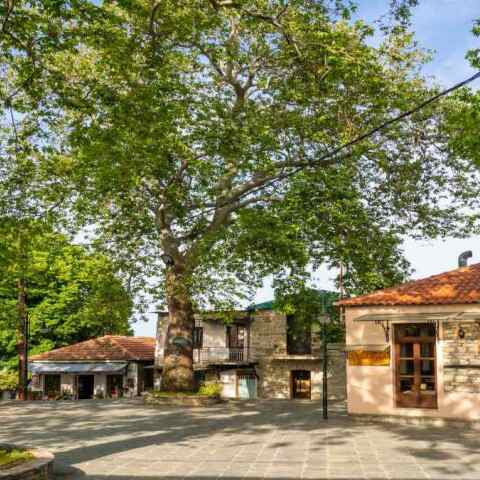 Το χωριό όπου καταγράφηκε το περιστατικό στη Μαγνησία