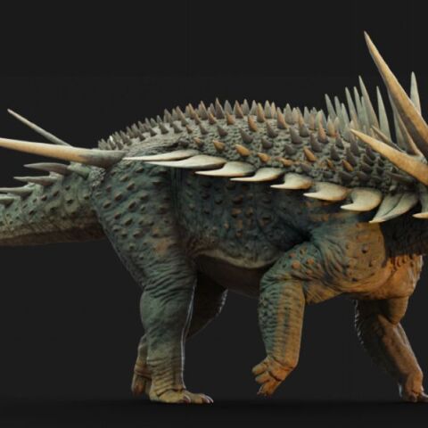 «Πανκ ροκ» δεινόσαυρος με αγκάθια ενός μέτρου ανακαλύφθηκε στο Μαρόκο
